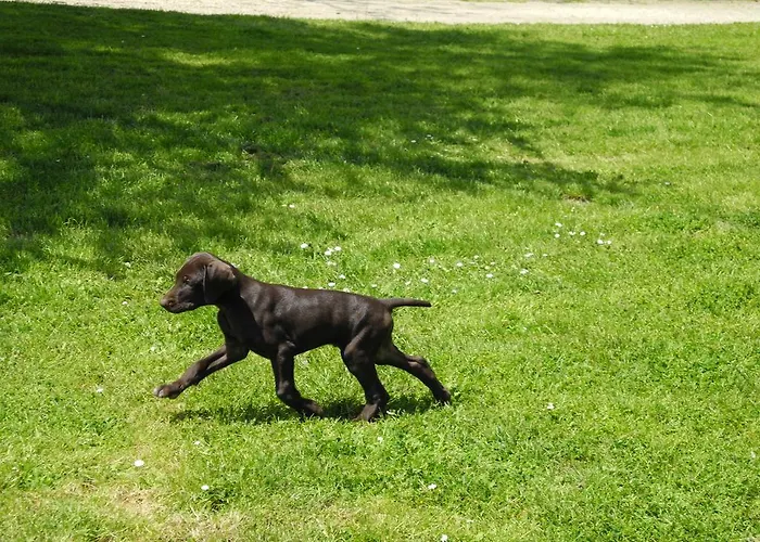 Hotel Logis Restaurant La Citadelle